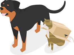 Flat Vector Cats Dogs Illustration Figuras Humanas Animais Ilustracao