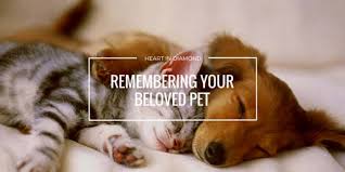 I generally ask if my clients would like to spend a few moments alone with their pets. This Is How Diamonds Are Made From Pet S Ashes