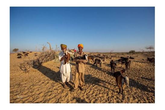 Portrait of a Rajput Shepherd,Thar Desert, Rajasthan, India Discovering the Real Desert in Rajasthan.Sand and sun stretched before me, as far as my eyes could see.Dotted with huts, buildings and endless scrub,