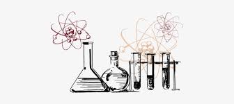 Free drawing of 2 glass beakers bw from the category. In Biology Science Test Tube Drawing Free Transparent Png Download Pngkey