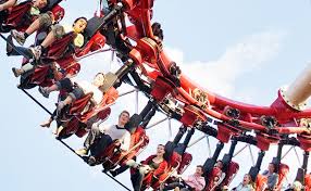 Image result for Grona stolzii