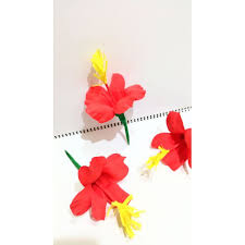 Bunga raya vintage enamel plates. Bunga Raya Kertas Bunga Raya Merdeka Bunga Raya Malaysia Shopee Malaysia