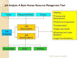Job Analysis For Human Resource Management Google Search Job Analysis Human Resources Human Resources Jobs