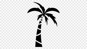 You can see what it looks like completed, in the final step of the lesson… Coconut Tree Drawing Png Images Pngegg