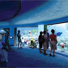 Baltimore National Aquarium New Shark Exhibit Travelandleisure Washington Dc Travel Dc Travel Aquarium Fish Tank