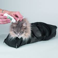 3,129,207 likes · 12,303 talking about this · 823,376 were here. Amazon Com Top Performance Cat Grooming Bag Durable And Versatile Bags Designed To Keep Cats Safely Contained During Grooming And Or Bathing Medium Black Pet Grooming Supplies Pet Supplies