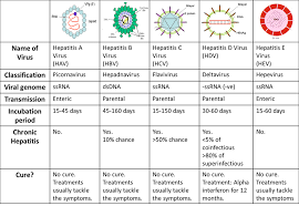 differences between hepatitis a b c d and e