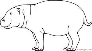 Children can make a hippopotamus coloring page from printable paper. Easy Pygmy Hippo Coloring Page Coloringall