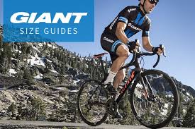 giant size guide tredz bikes