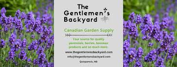 There are currently 91 real estate listings & homes for sale in quispamsis, nb. The Gentlemen S Backyard Gardens Apiary Home Facebook
