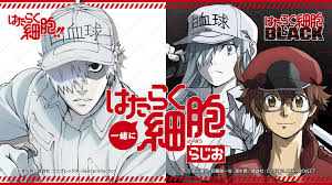 Простуда はたらく細胞 新作エピソード「風邪症候群」 hataraku saibou special Uljsiq3f00jdhm