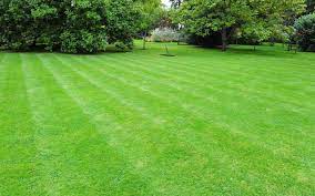 Care For Your Bermuda Grass Turf Masters Lawn Care Bermuda Grass Lawn Care Lawn Care Business