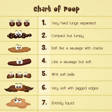 normal poops? acubalance wellness centre