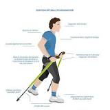 Des bâtons de marche dynamiques révolutionnaires