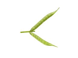 Image result for Cyamopsis