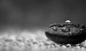 This can take the form of black and white film or digital conversion to grayscale, with optional image. Best Digital Camera Tips For Stunning Black And White Photography