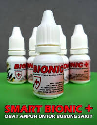 4 khasiat lemon untuk sinusitis sembuh tanpa kambuh. Tips Pencegahan Pengobatan Dan Perawatan Burung Sakit Smart Mastering