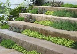 25 Idees De Design Moderne Pour Votre Chemin De Jardin Chemin De Jardin Jardins Amenager Petit Jardin