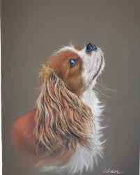 Paint your pet with a former painting with a twist artist! Pet Portrait Adelaide Home Facebook