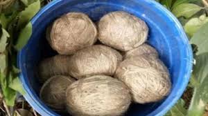 Bhatpara : বারুদের স্তূপে ভাটপাড়া, একসঙ্গে ৩৫টি তাজা বোমা উদ্ধার - Bomb  Recover Again At Bhatpara North 24 Parganas prb - Aaj Tak Bangla