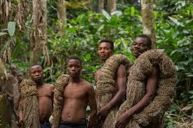 Image result for Congo Rain Forest, Africa
