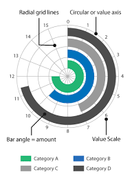 radial bar chart circular bar chart dataviz microchart