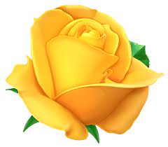 Rose Yellow Clip Art Yellow Rose Png Transparent Picture Rose Flower Wallpaper Rose Clipart Yellow Roses
