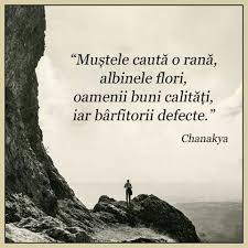 Pin By Badea Denisa On Citate Spiritual Quotes True Words Life