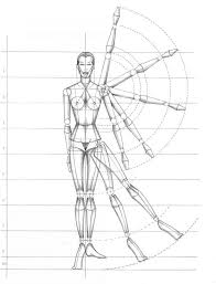 Microscopic anatomy involves the use of optical instruments in the study of the tissues of various structures, known as histology , and also in the study of cells. Human Proportion For Figure Drawing Figure Drawing Martel Fashion