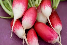 Image result for Raphanus sativus