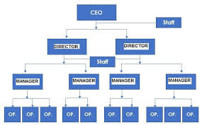 Small Construction Company Organizational Chart Www