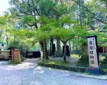 奈良春日大社奈良萬苑的圖片