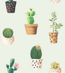 En cualquier caso, debemos aprender los trucos sobre como cuidar un cactus si queremos que crezca fuerte y vigoroso. Trasplantar Un Cactus Sin Raiz Metodo Y Pasos A Seguir