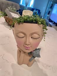 Finding and growing string of pearls plants