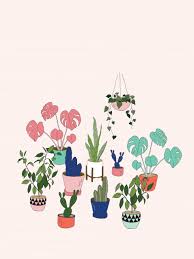 Cute Plant Wallpapers On Wallpaperdog Source by corriemarcum i do not take credit for the images in this post. cute plant wallpapers on wallpaperdog
