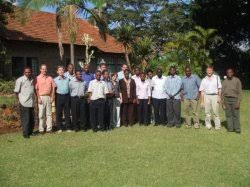 Image result for Lettowianthus stellatus