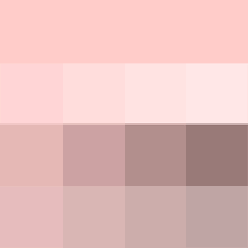 Pale Pink Shades Hue Pure Color With Tints Hue White Shades Hue Black And Tones Hue Color Palette Pink Soft Summer Color Palette Color Palette