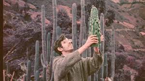 The flesh of the cactus is traditionally eaten or made into tea in peru. The Cactus Apprentice Preview Vice Tv