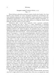 Image result for Nesogenaceae