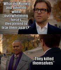 Bull Palmer Dr Bull Bull Tv Tv Memes
