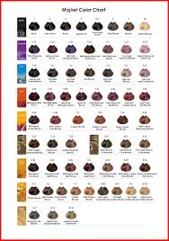 Loreal Dialight Chart 2020 Big 260 3 Kb Picture Loreal Hair Color Chart Hair Color Chart Loreal Hair Color