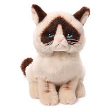 Gund Grumpy Cat Stuffed Animal Plush 9 Gund Https Www Amazon Com Dp B00dvdmrx6 Ref Cm Sw R Pi Dp U Grumpy Cat Plush Grumpy Cat Stuffed Animal Cat Plush Toy