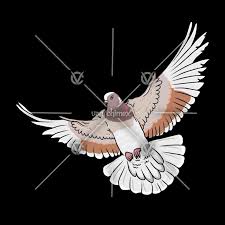 Logo Burung Merpati Vector Logo Design Art Pigeon Logo Vector Logo