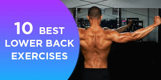 When the muscles of the back are stretched too far a muscle strain is likely to occur. 10 Best Lower Back Exercises For Strong Lower Back Fitpass
