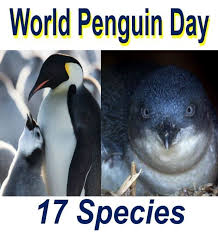 (scientists disagree over the exact number of penguin species. Today Is World Penguin Day Some Of Them Need Our Help Market Business News