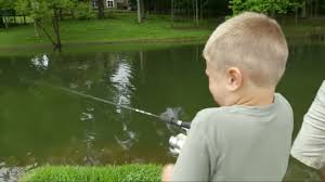 We did not find results for: Kentucky Huge Bluegill With The Kids And Fish Tacos My724outdoors