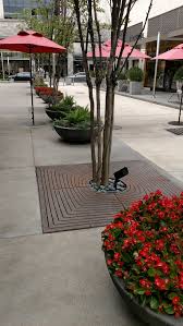 Cast iron plants can be easily propagated through division. Divisadero Iron Age Designs