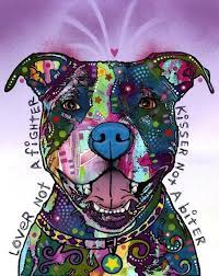 lover not a hater kisser not a bitter pitbulls cute animals pitbull terrier