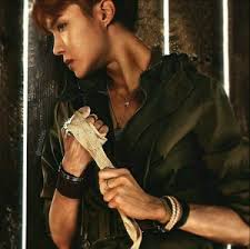 Surprise partygoers with a first course featuring a wriggling reptile breadstick garnish. Jhope Jhope Jung Hoseok Bangtan Boys Photo 43014416 Fanpop