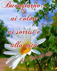 Visualizza altre idee su buona giornata, buongiorno, buongiorno immagini. Buongiorno Con I Fiori Le Immagini Piu Carine Top10immagini It